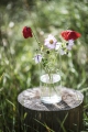 Bild 5 von Vase / Karaffe Rentier