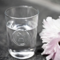 Bild 5 von Trinkglas-Dalapferd mit Glasmedaillon - typisch schwedisches Design